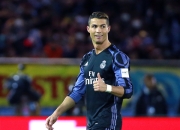 milan.com-日本劲旅鹿岛鹿角战胜澳洲选手，顺利晋级半决赛！的简单介绍