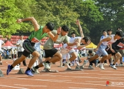 米兰APP下载-世界体育盛会热情点燃，运动员们奋力拼搏